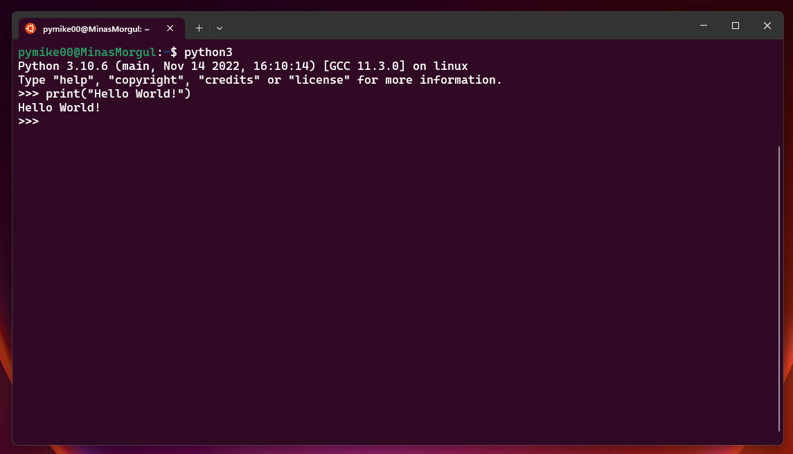 Shell di Python su Ubuntu