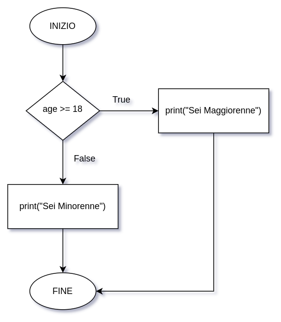 diagramma di flusso istruzione else