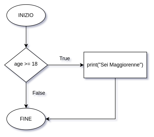 diagramma di flusso istruzione if